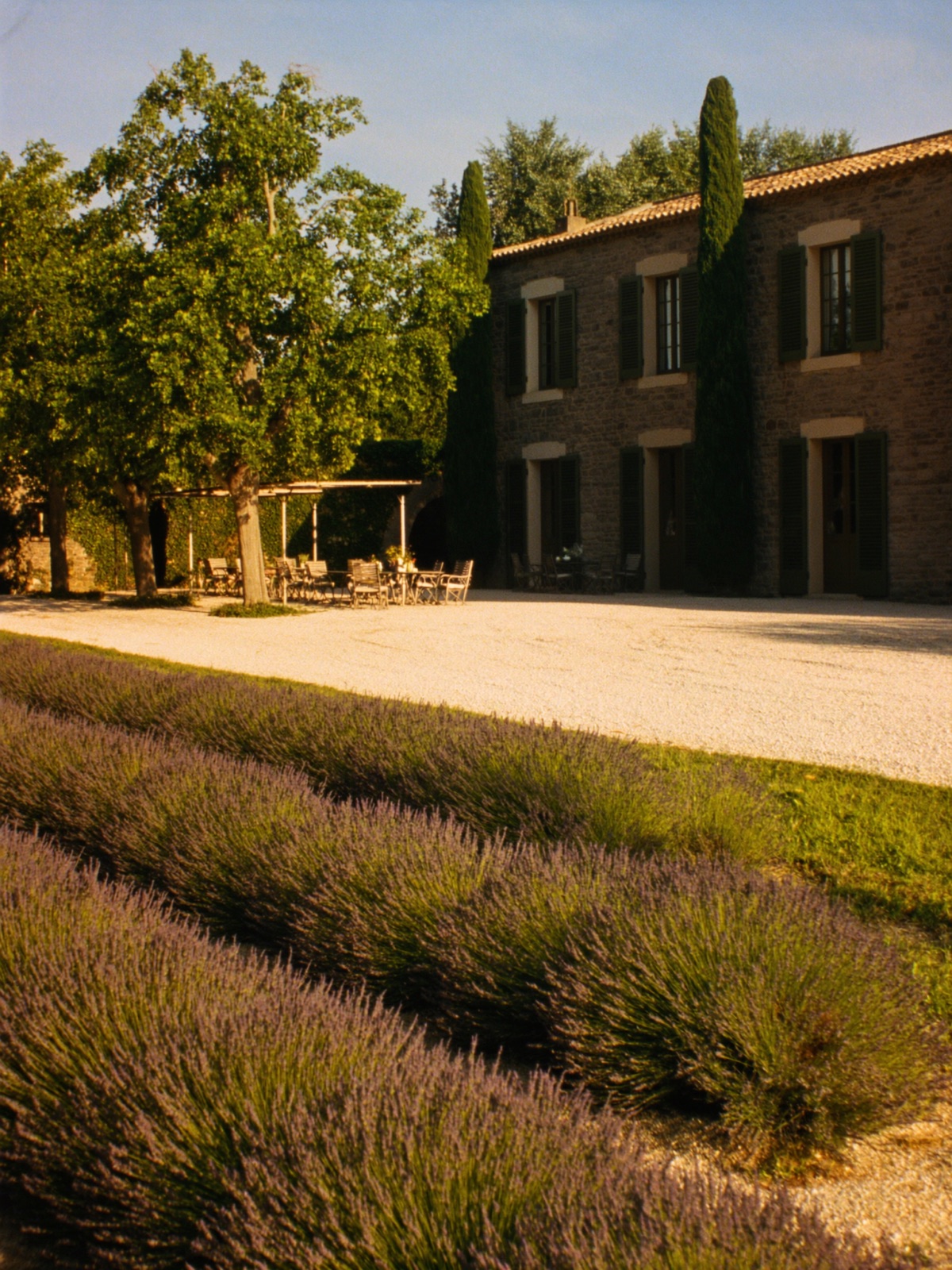 A honey-stone Provençal mas framed by cypress and blooming lavender
