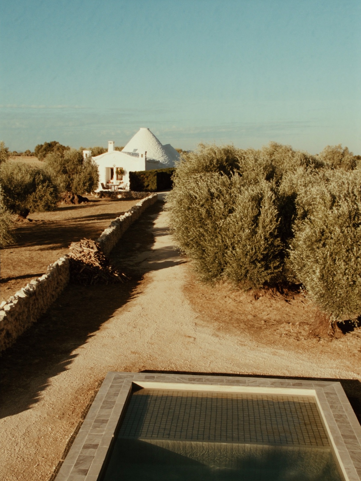 A whitewashed masseria among silver olive groves in Puglia at golden hour
