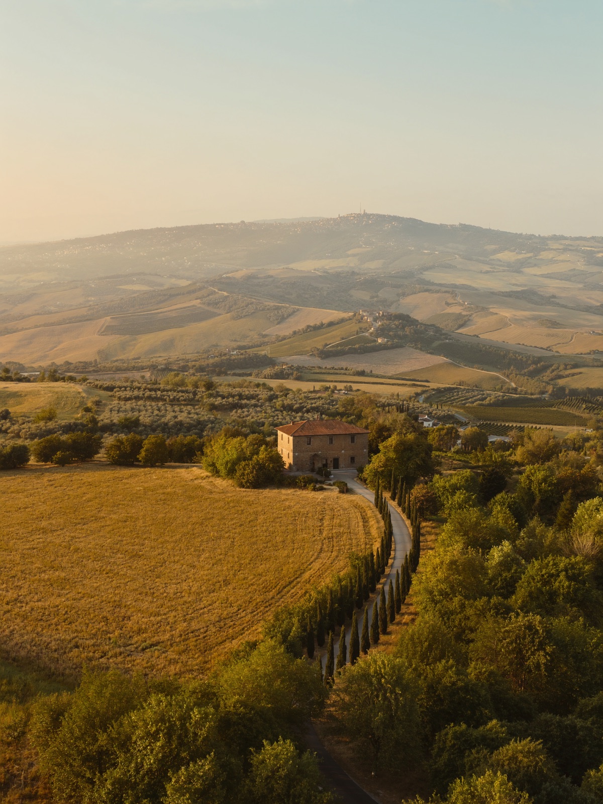 A terracotta-roofed Tuscan farmhouse at the end of a cypress-lined drive above vineyards