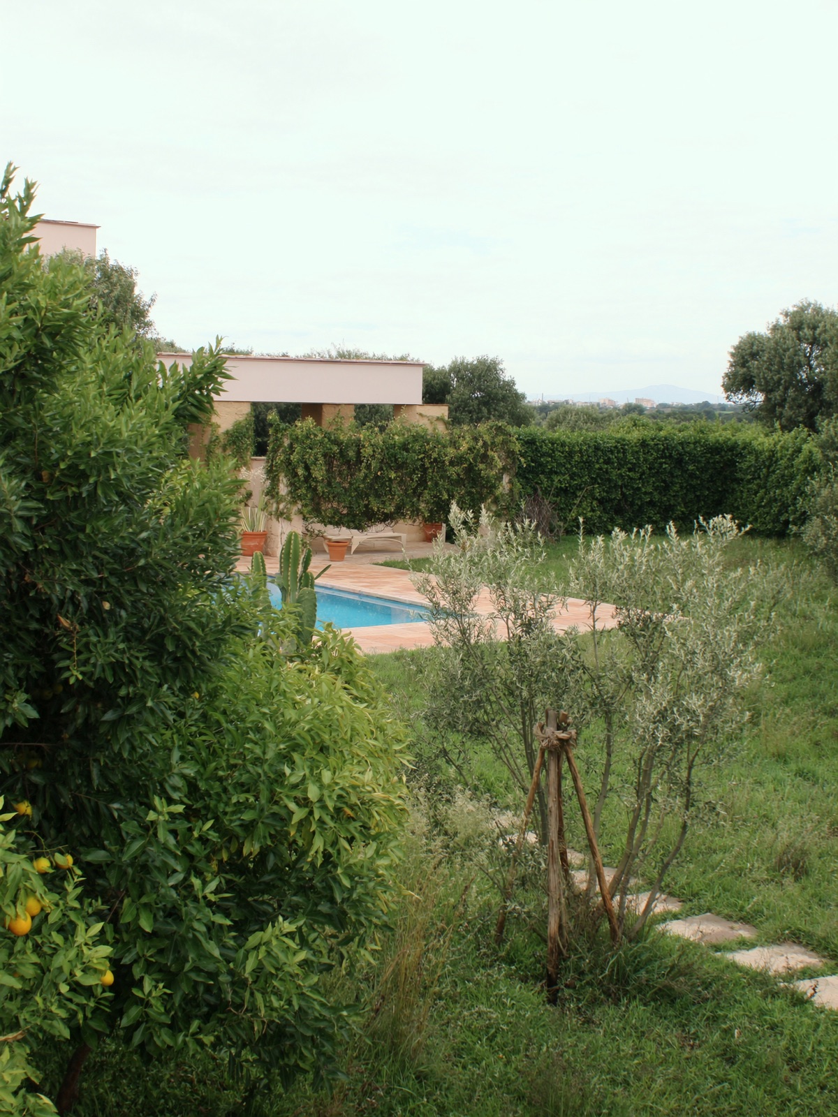 Montekore -- Cannole, Puglia
