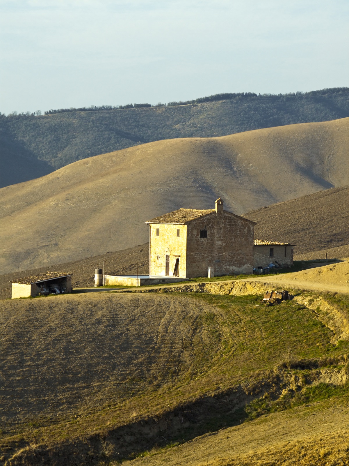 Tuscan Hills -- Asciano, Siena